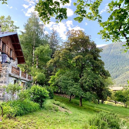 Chalet Le Tilleul Valdeblore Ngoại thất bức ảnh