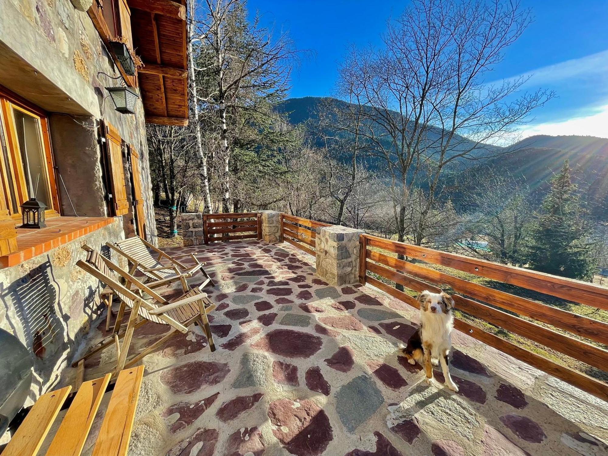 Chalet Le Tilleul Valdeblore Ngoại thất bức ảnh